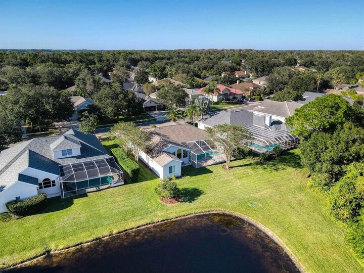 Property Photo:  4040 Ligustrum Drive  FL 34685 