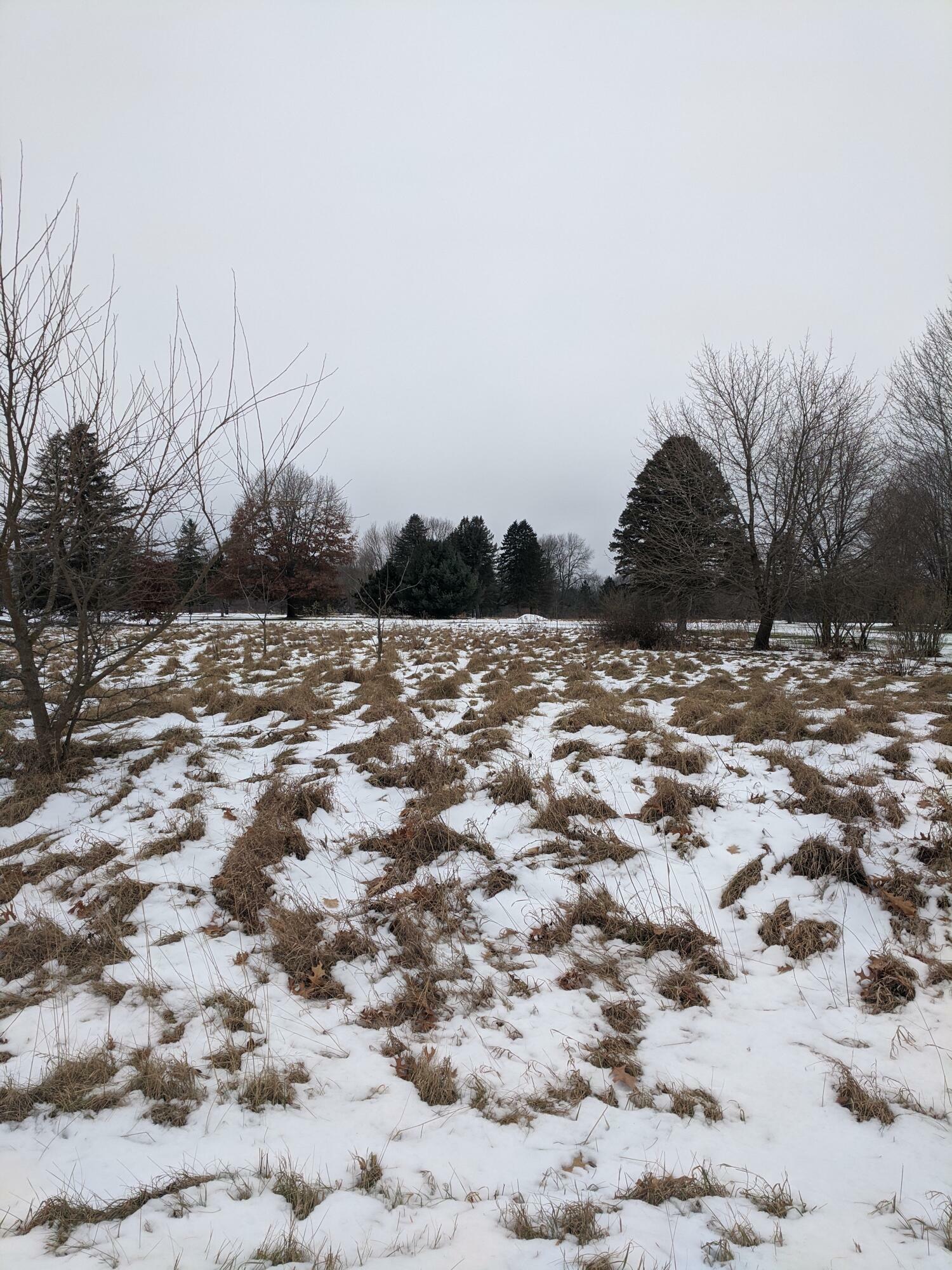 Property Photo: Johnson Road MI 49093