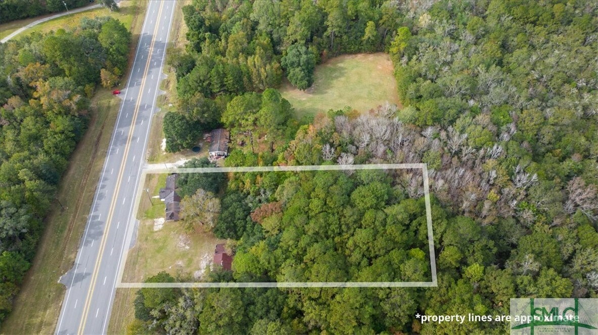 Property Photo:  13220 E Oglethorpe Highway  GA 31320 