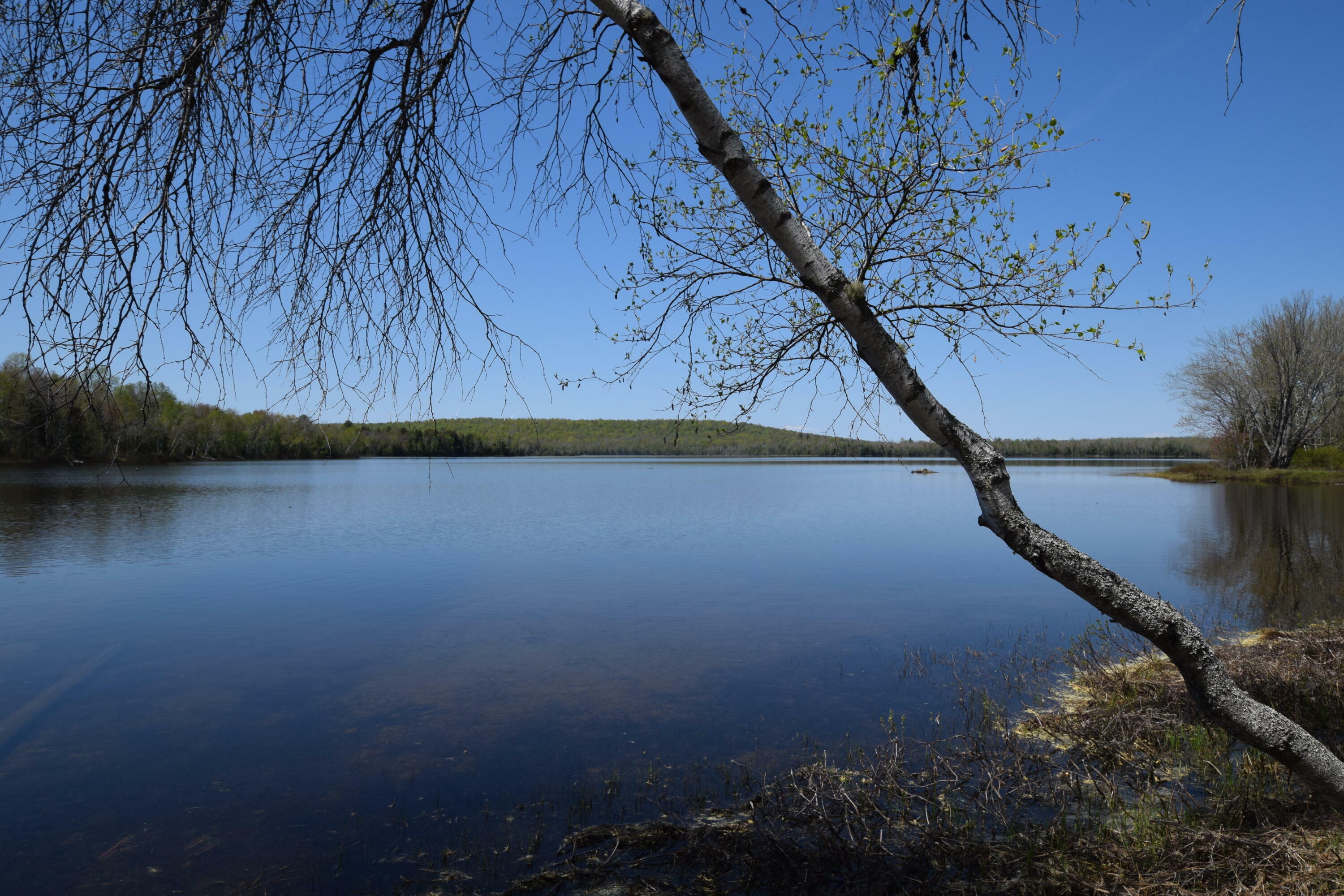 Property Photo:  Lot 2 Lakeview Road  ME 04424 