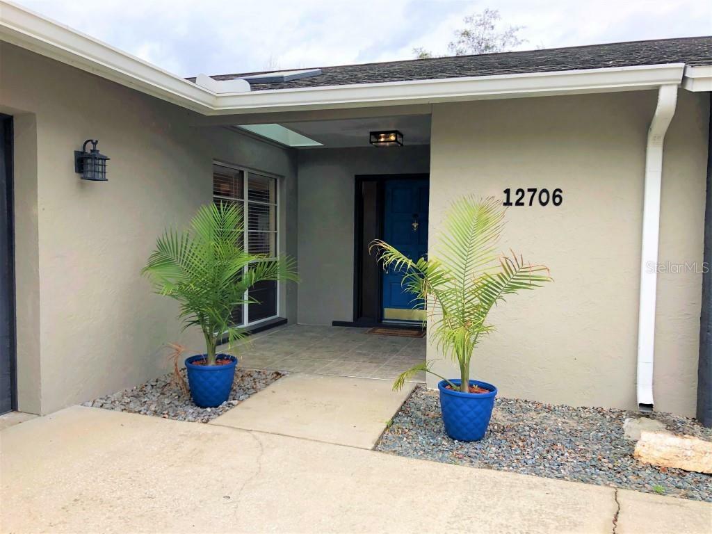 Property Photo:  12706 Rain Forest Street  FL 33617 