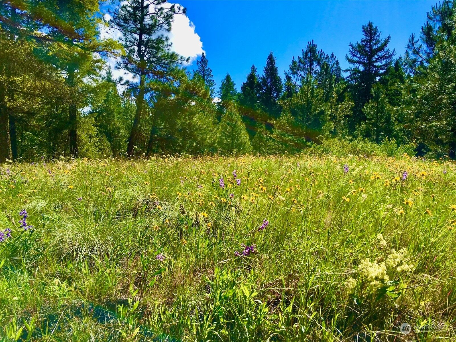 Property Photo:  46 Grizzly Loop Road  WA 99166 