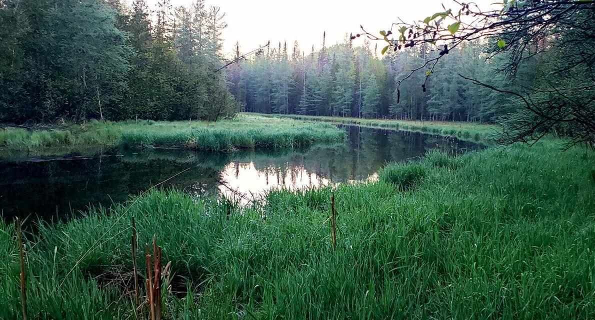 Property Photo:  Tbd N Horton Creek  MI 49712 