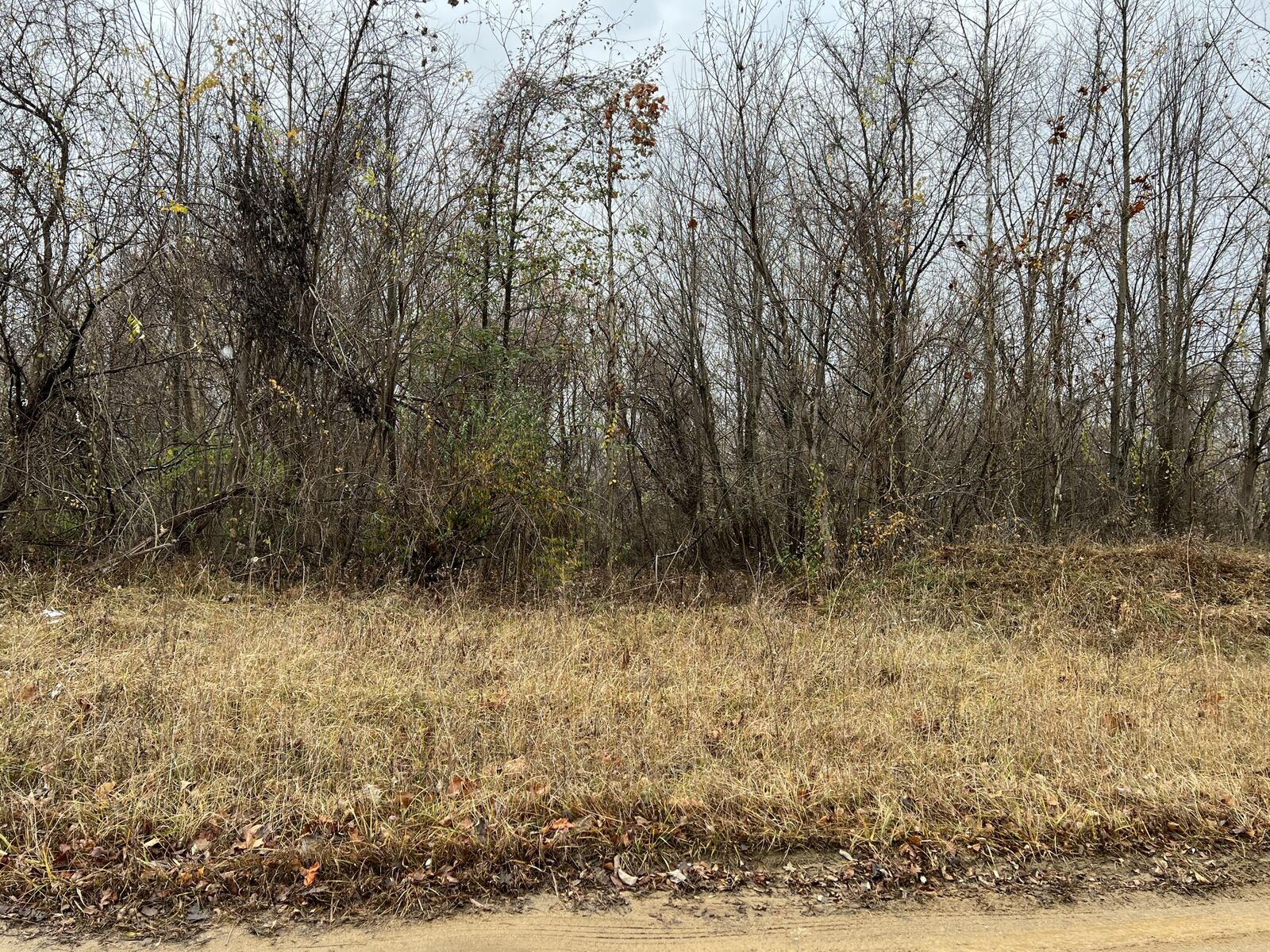 Property Photo:  Mt. Zion St  MI 49031 