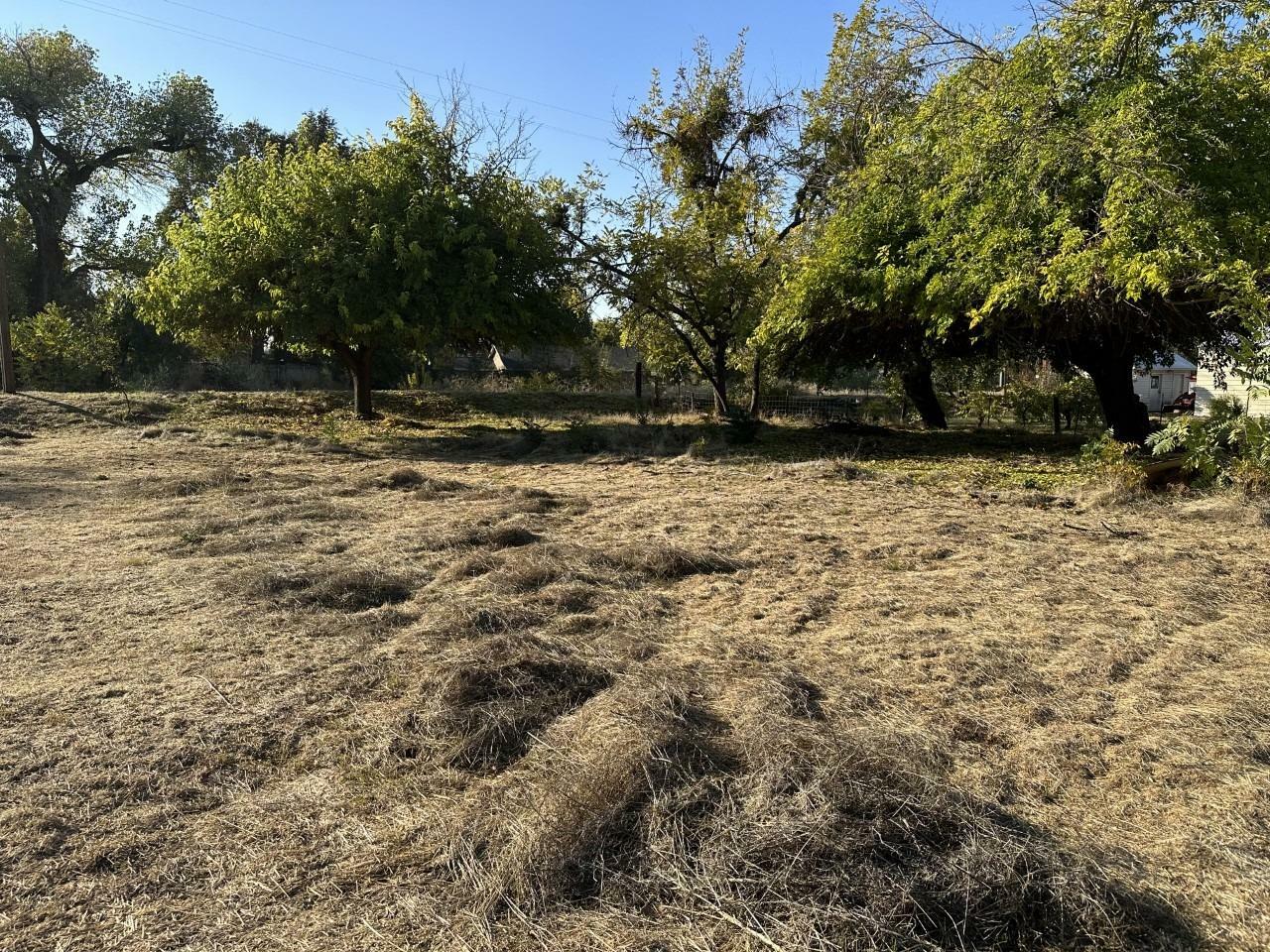 Property Photo:  308 Shakeley Lane  CA 95640 