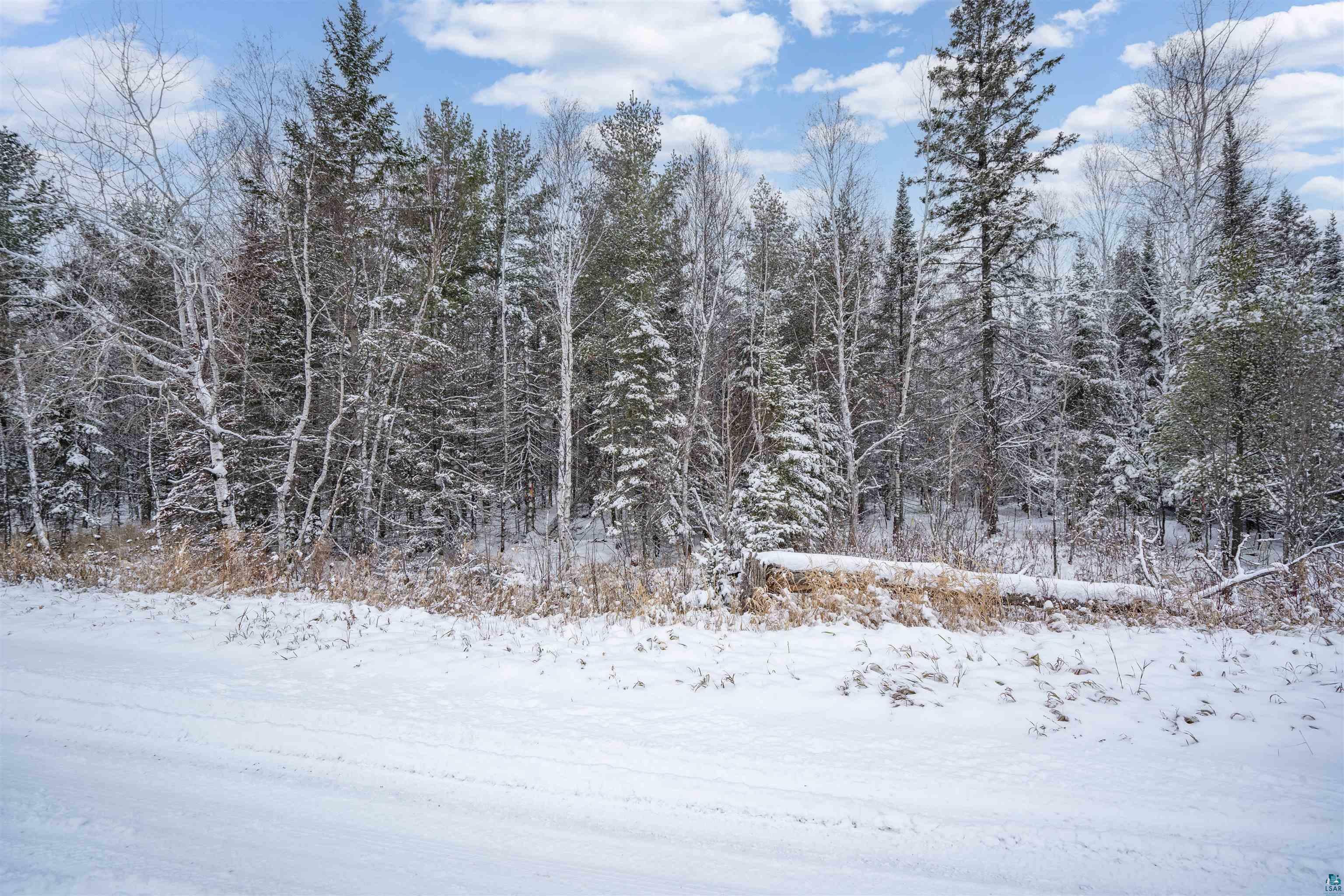 Property Photo:  Xxxx Bachelor Square Rd  MN 55765 