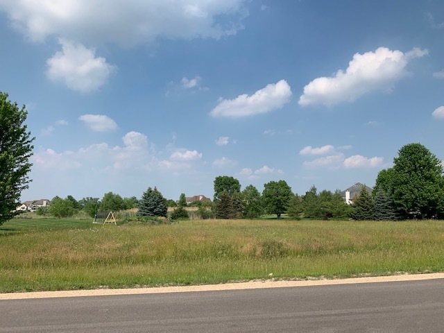 Property Photo:  Lot 49 Audrey Avenue  IL 60560 