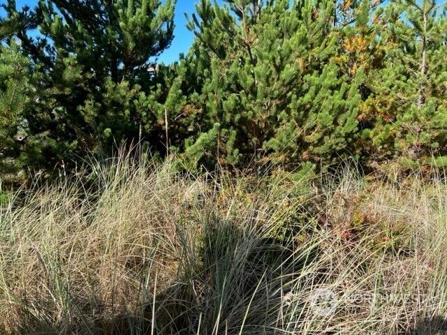 Property Photo:  32810 G Place  WA 98640 