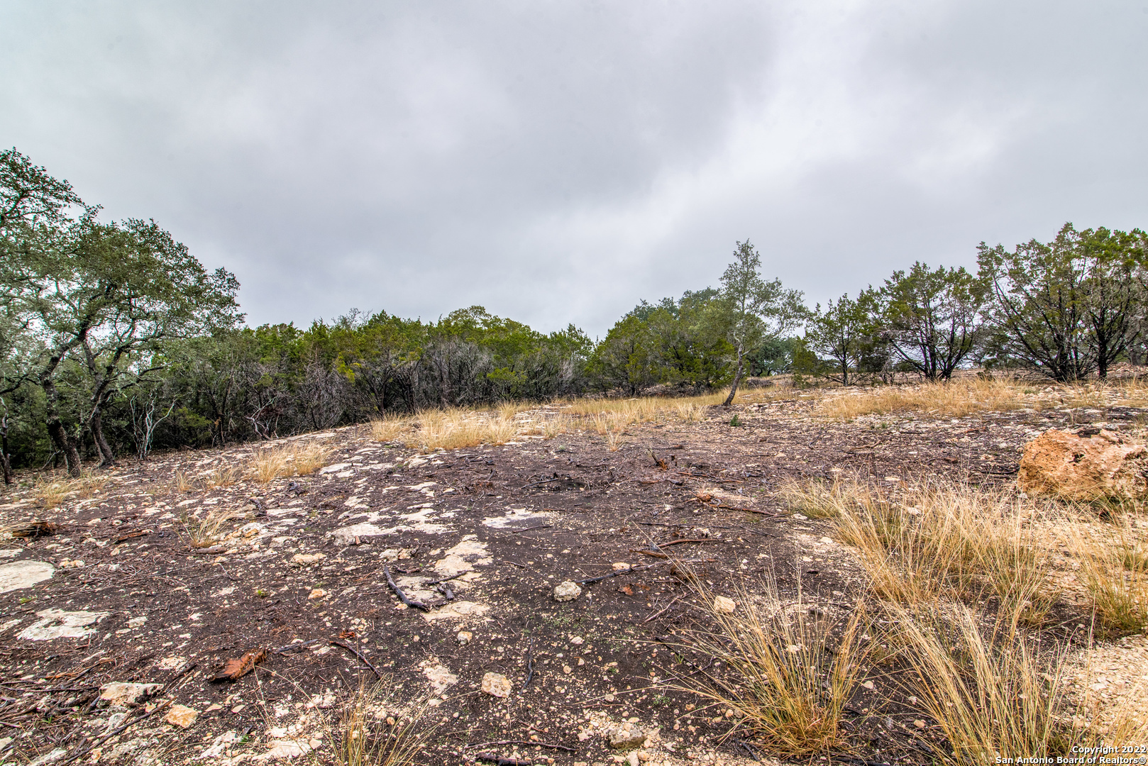 Property Photo:  633 Travis Forest Dr  TX 78163 