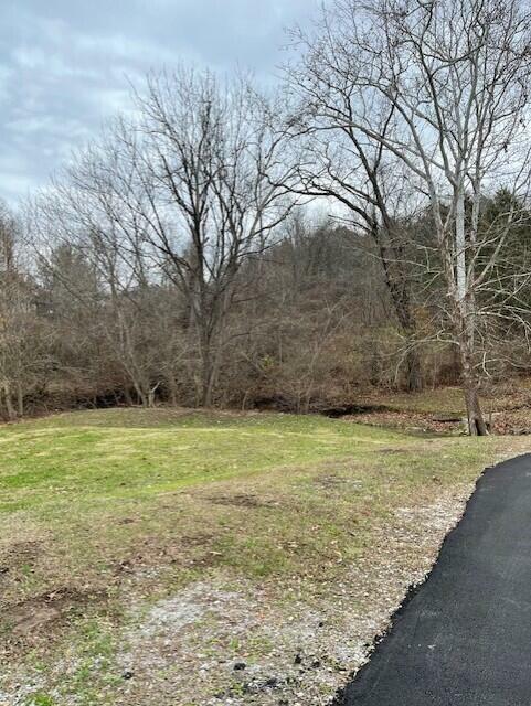 Property Photo:  0 Eight Mile Road  KY 41059 