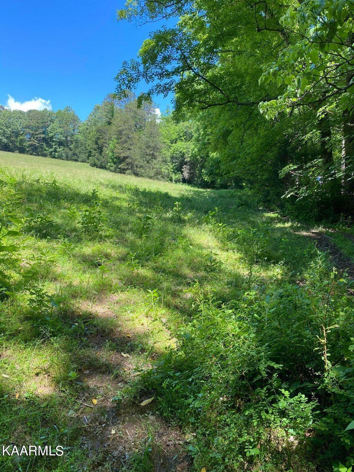 Property Photo:  Tbd Chapman Rd  TN 37766 