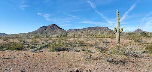 Property Photo:  0 S 481st Avenue 60  AZ 85354 