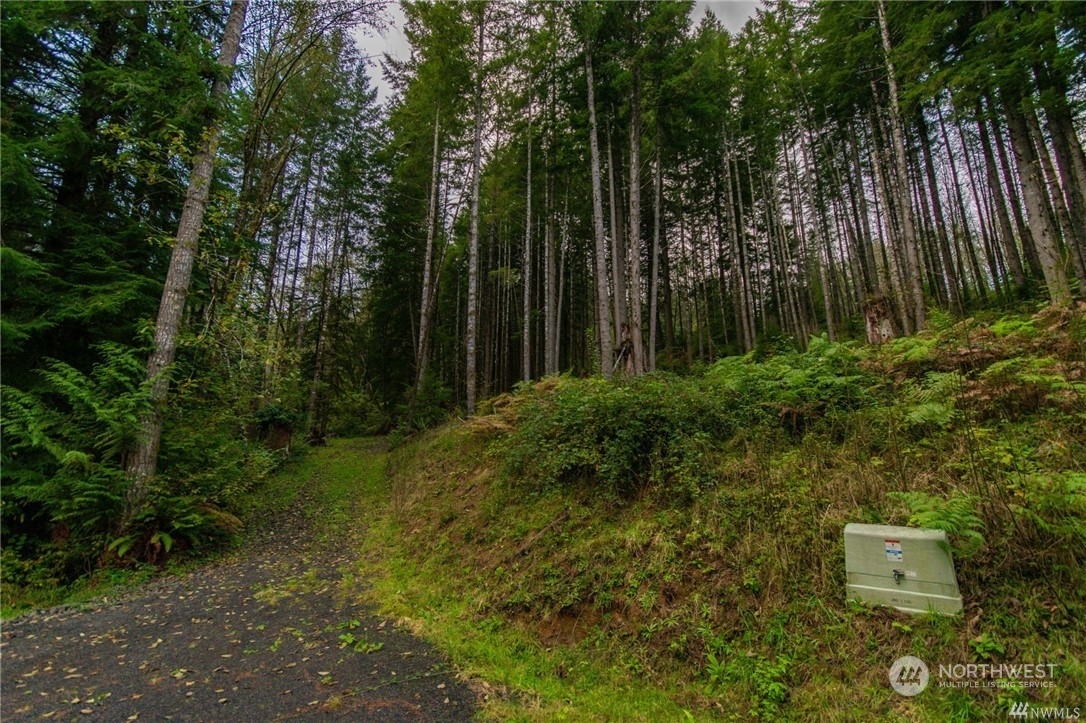 Property Photo: 144 Bison Run WA 98632