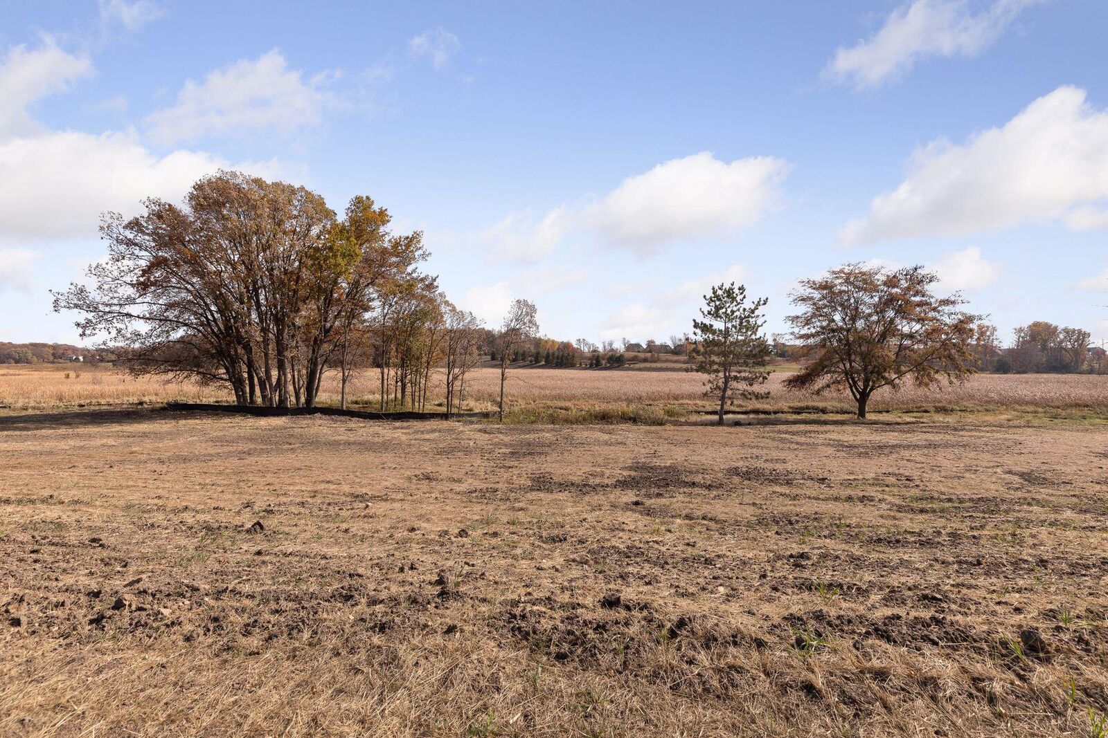 Property Photo: 1558 Marsh Pointe Court MN 55340