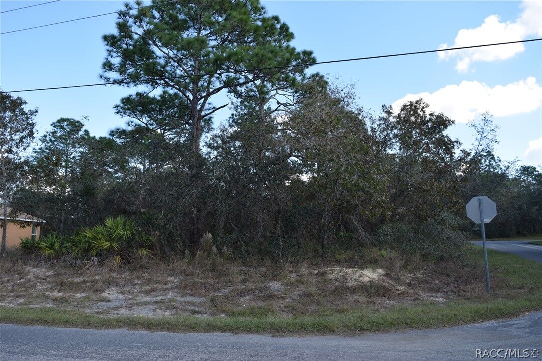Property Photo: 2 Cocoplum Court S FL 34446