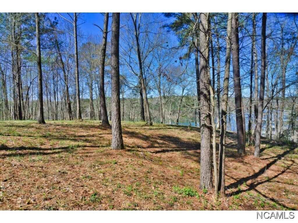 Property Photo:  0 Co Rd 85  AL 35053 - CRANE HI 