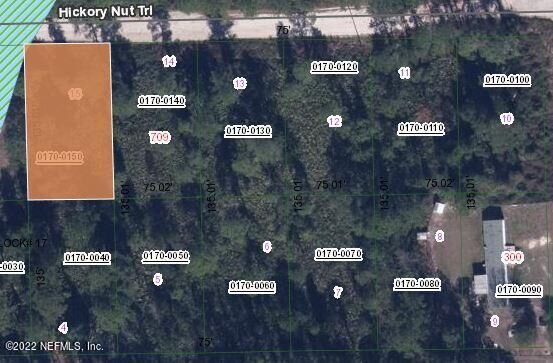 Property Photo: 711 Hickory Nut Trail FL 32189