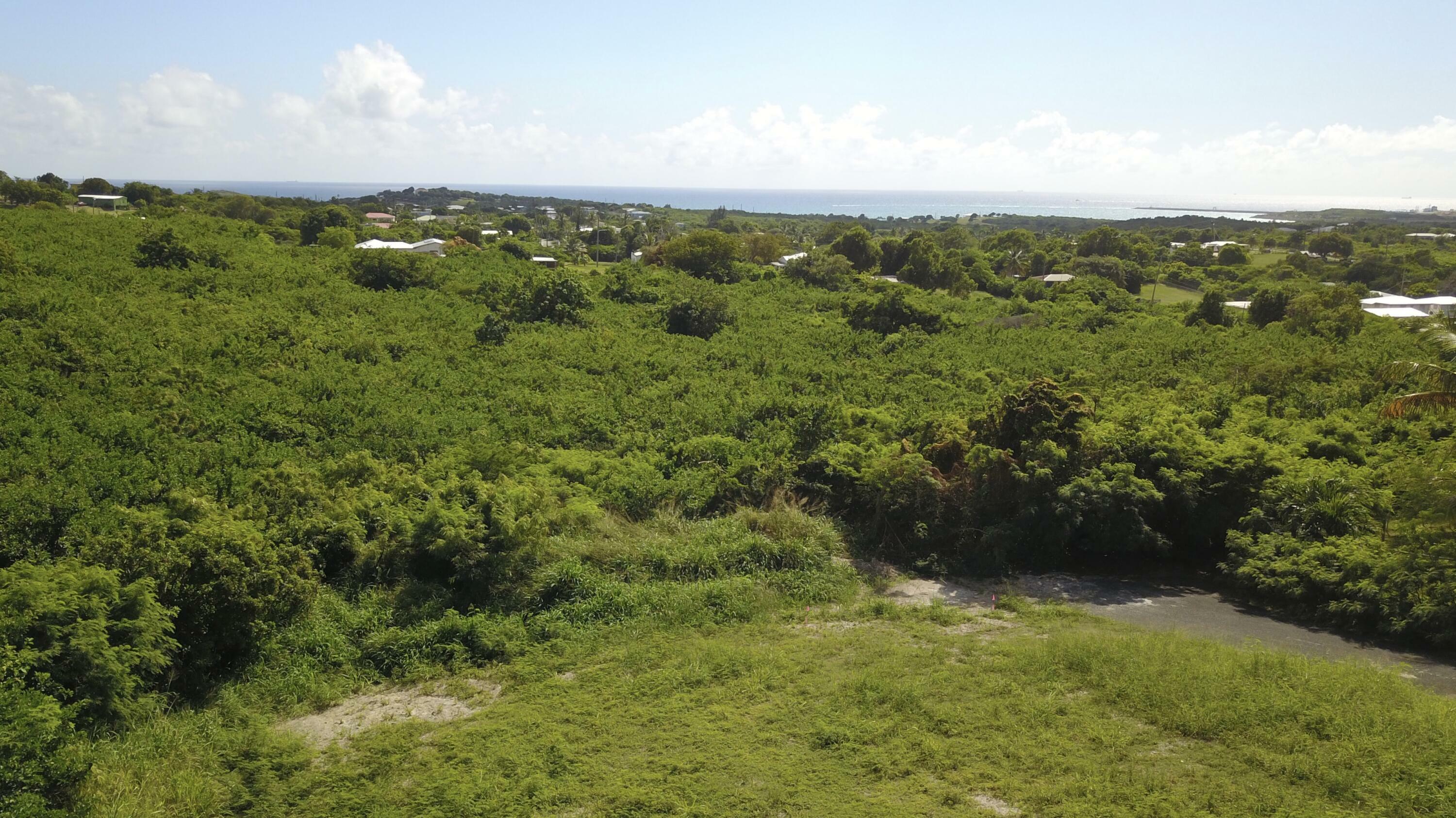 Property Photo: 395-8 Work & Rest Qu VI 00820