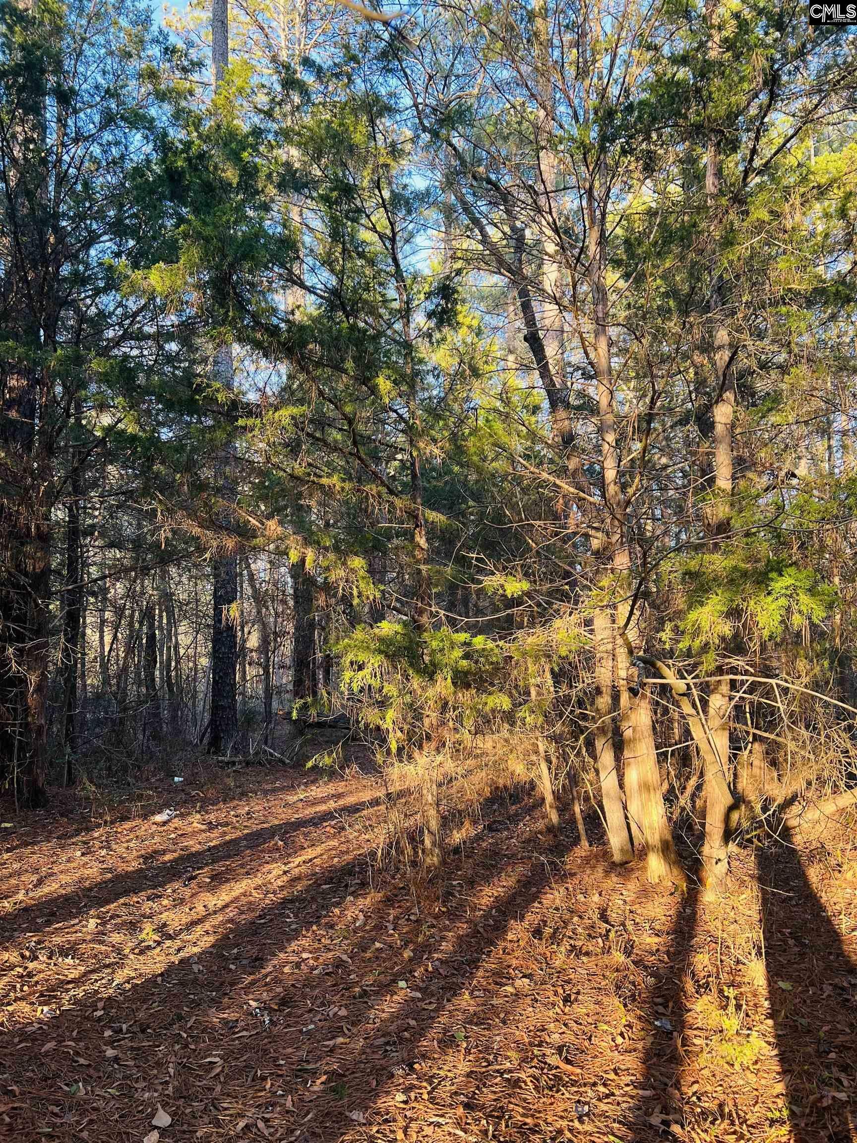 Property Photo: 0 Brown Chapel SC 29108