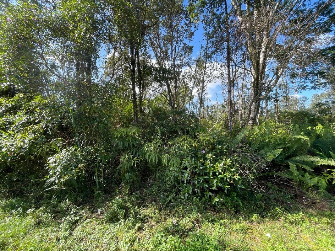 Property Photo:  Aloha Dr  HI 96760 