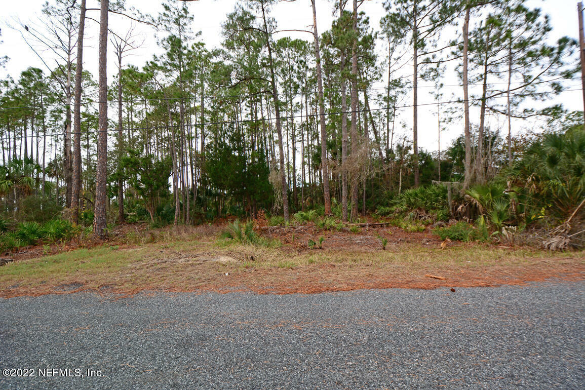 Property Photo:  Lot 14 W Palm Circle  FL 32034 