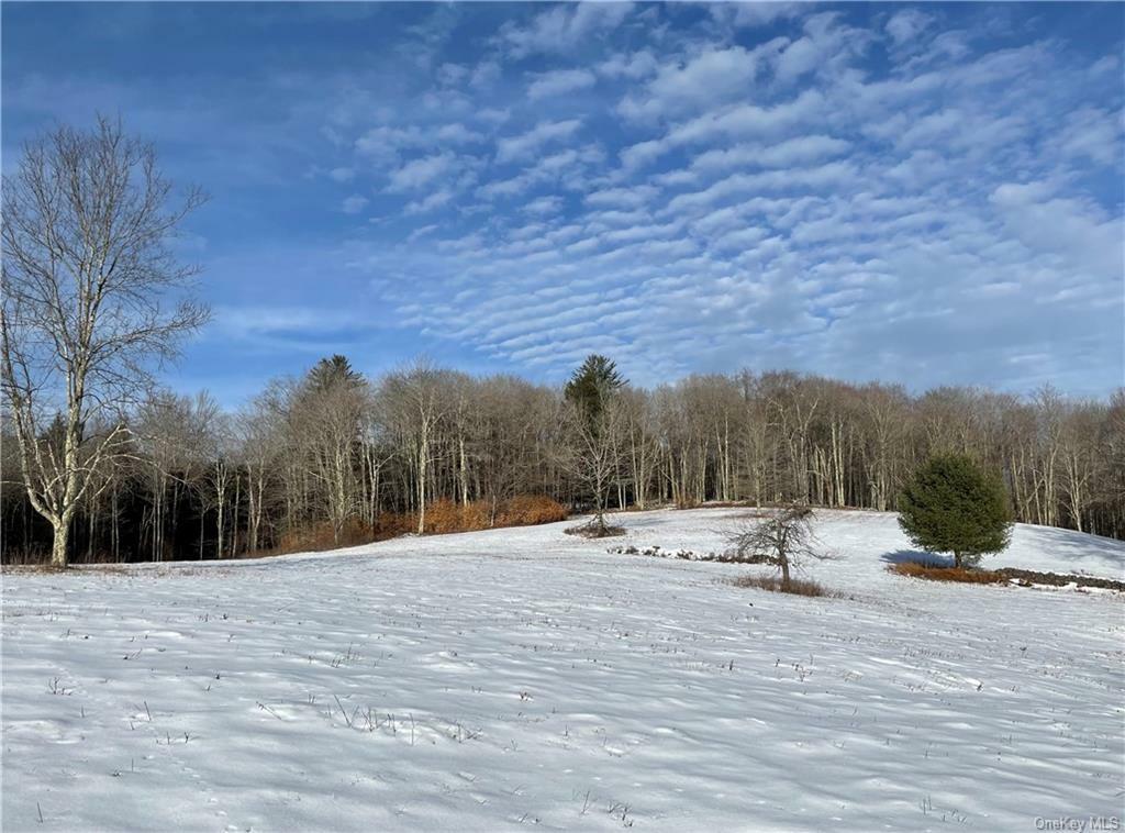 Property Photo:  89 Alder Creek Road  NY 12758 