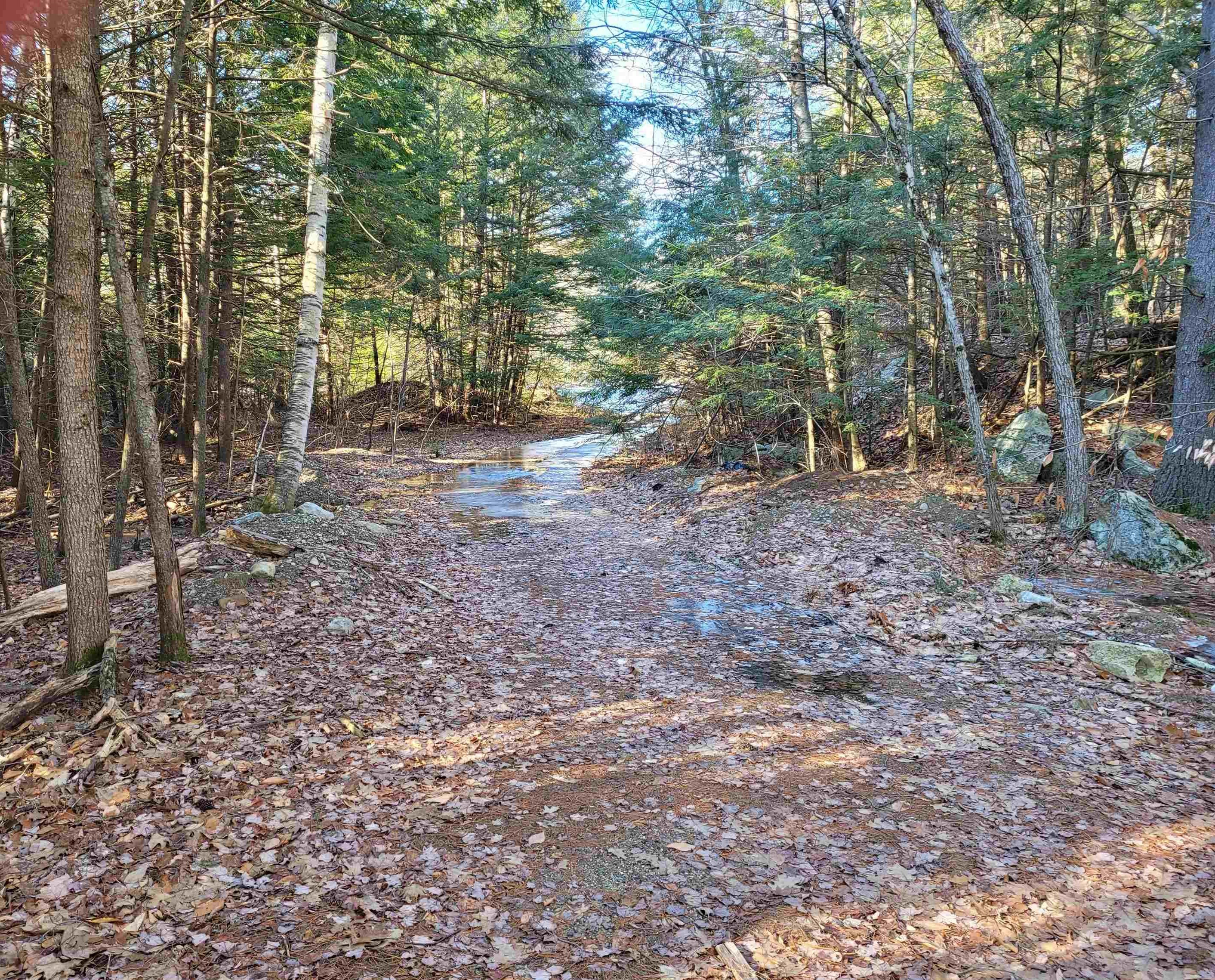 Property Photo:  0 Off Pond Road  NH 03431 