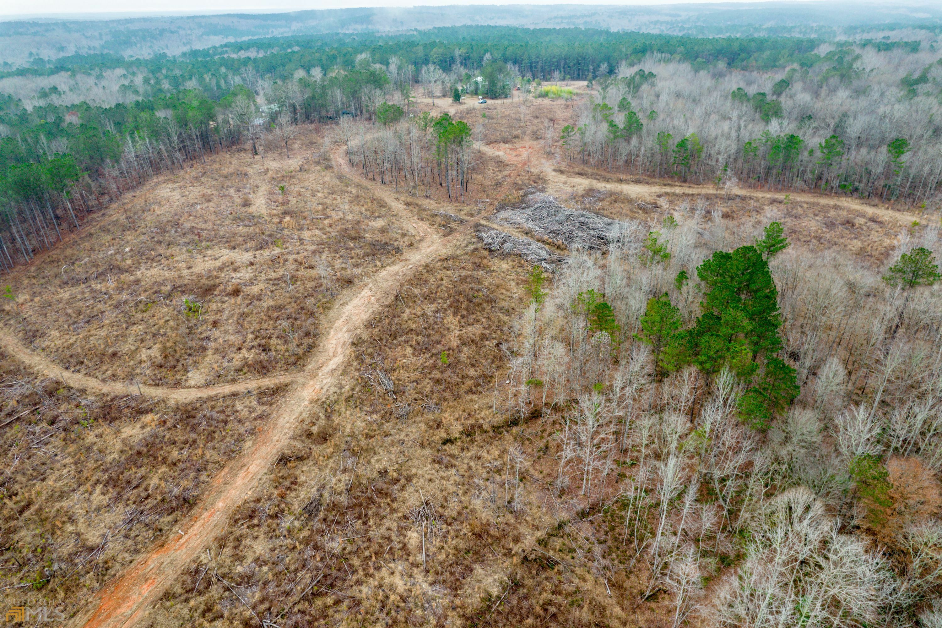 Property Photo: 367 Rabbit Skip Road GA 31024