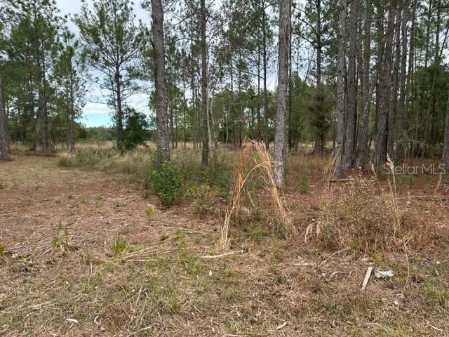 Property Photo:  Otter Drive Lot 0570  FL 33597 