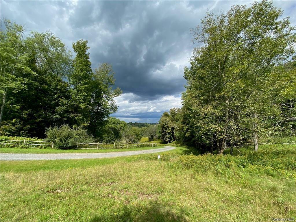 Property Photo:  Lot 8 Timber Drive  NY 12720 