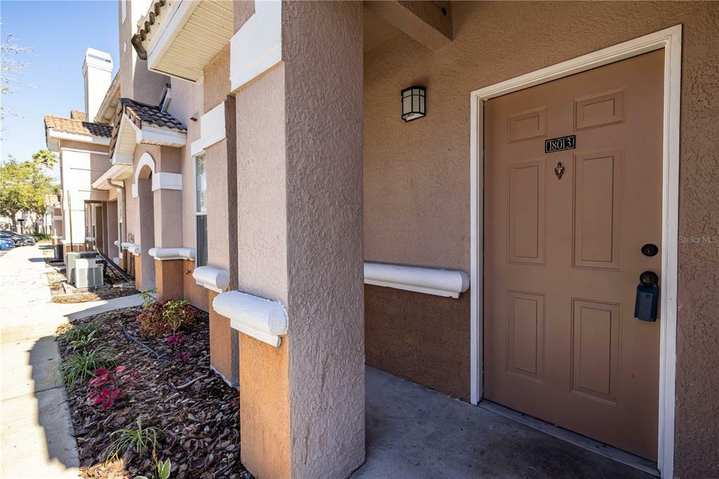 Property Photo:  18013 Villa Creek Drive 18013  FL 33647 