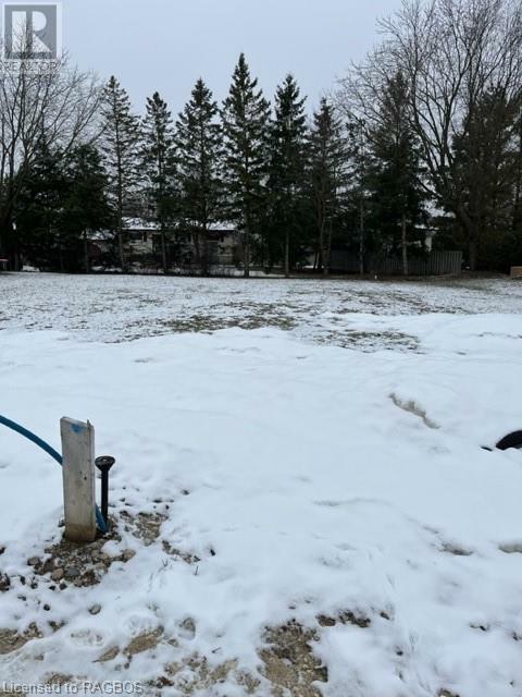 123 Ronnies Way  Mount Forest ON N0G2L2 photo