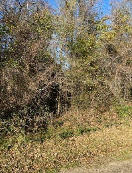 Property Photo: 0 Water Board Drive TX 75163