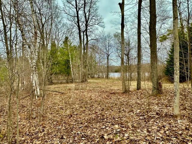 Property Photo: 00 Chippewa Trail MI 49751