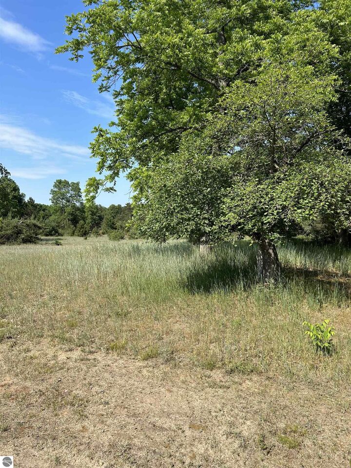11574 Riley Road  Interlochen MI 49643 photo