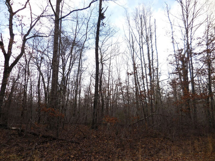 Property Photo: 3008 Diego Drive TN 38572