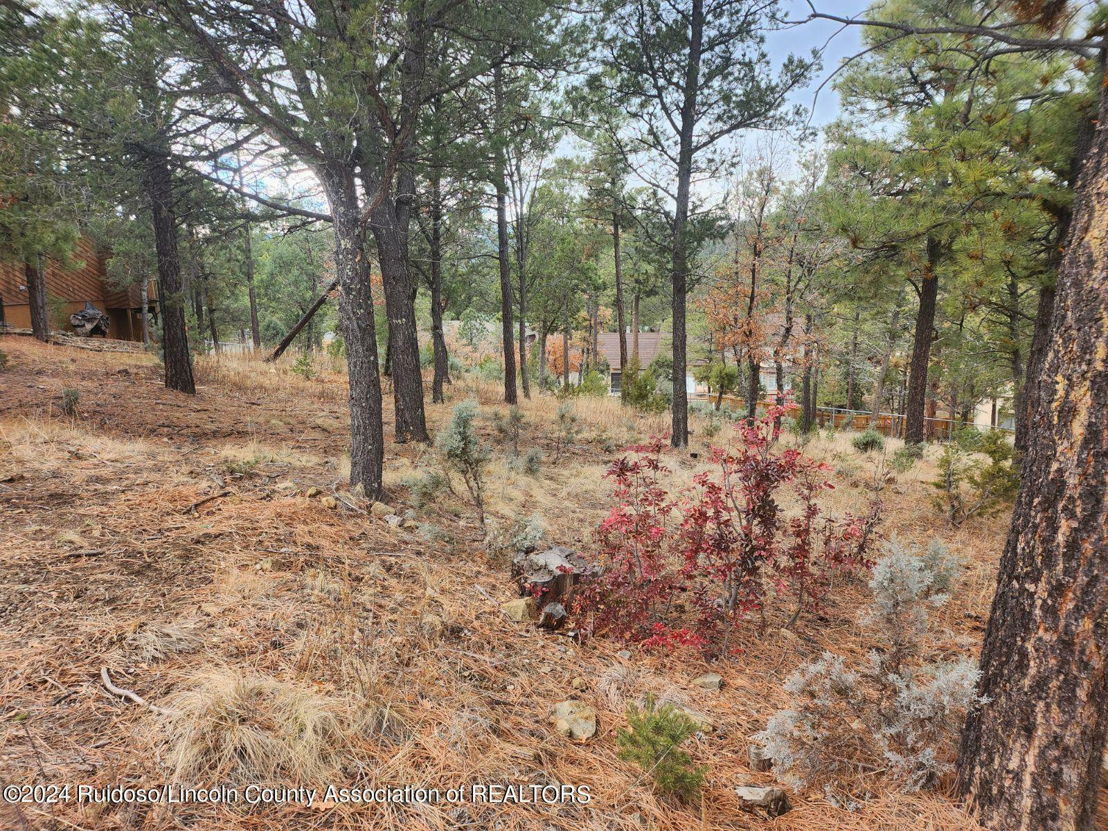 Property Photo:  105 Horton Court  NM 88345 