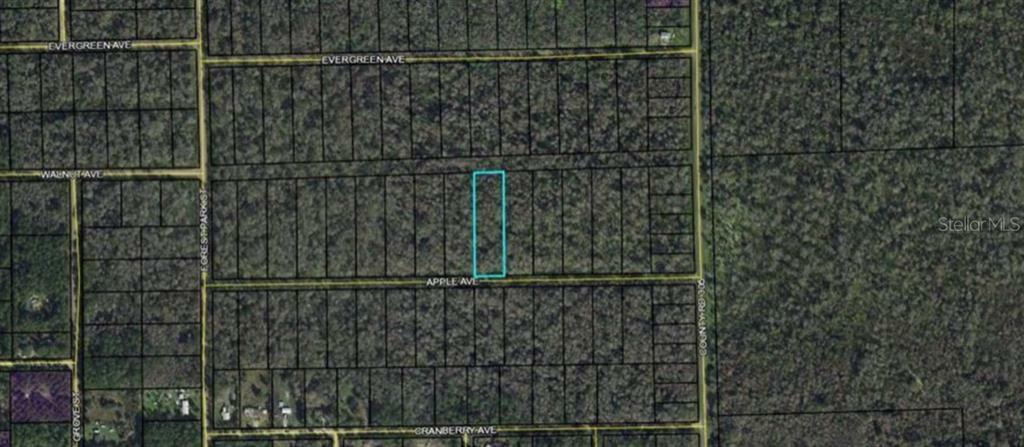 Property Photo:  3682 Apple Avenue  FL 32110 