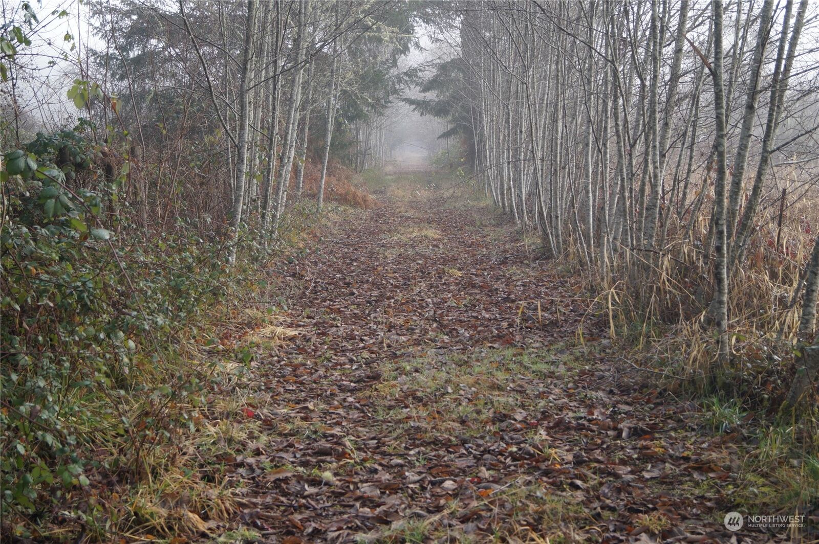 Property Photo:  100 Ross Road  WA 98568 