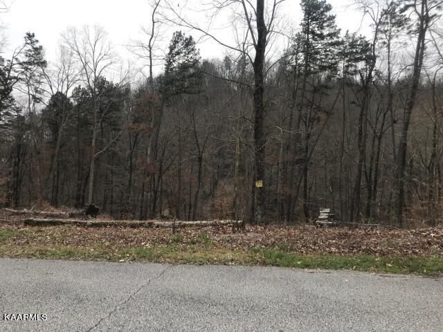 Property Photo: Sawmill Cove TN 37854
