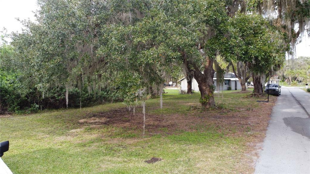 Property Photo:  0 Argyle Avenue  FL 33843 