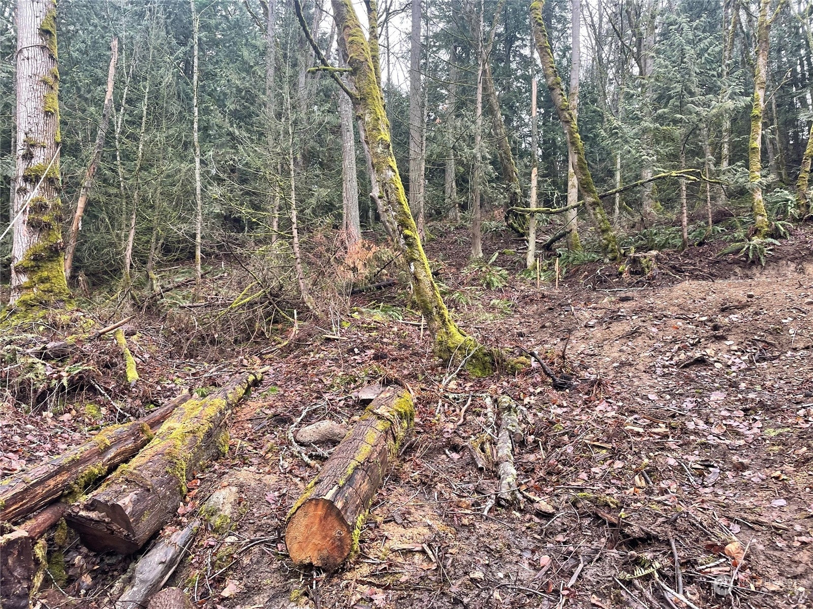 Property Photo: 0 Brays Way WA 98226
