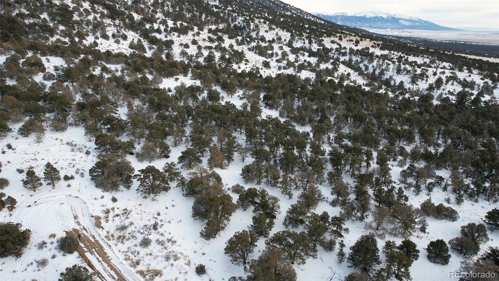 Property Photo: 4401 E Twin View Ol CO 81131