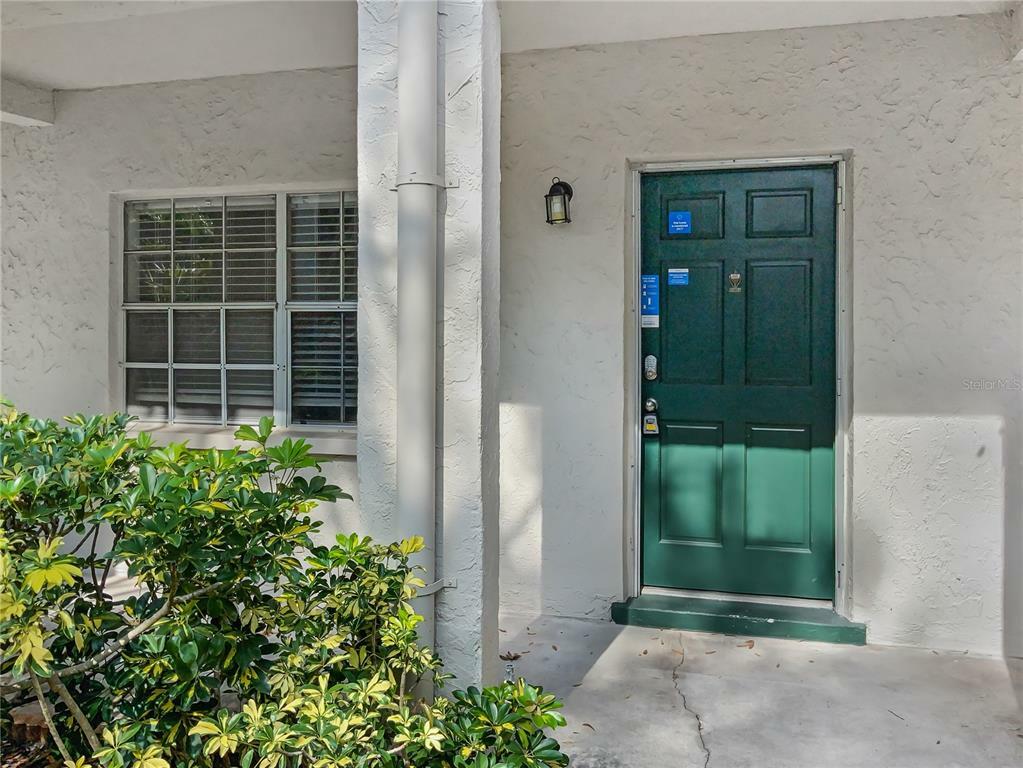 Property Photo: 4335 Aegean Drive 116A FL 33611