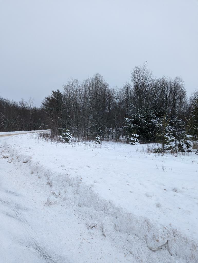 Property Photo: 0 Barnes Corner Road (Cemetery Road) NY 12930