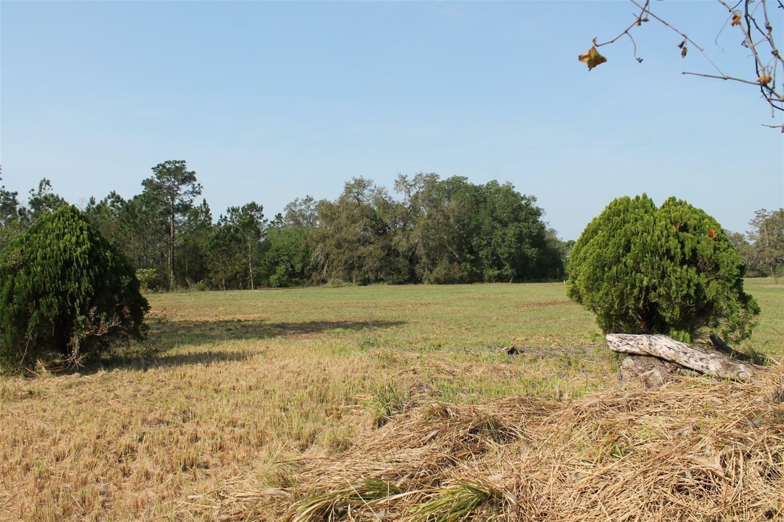 Property Photo:  State Road 33 Lot 111  FL 34711 