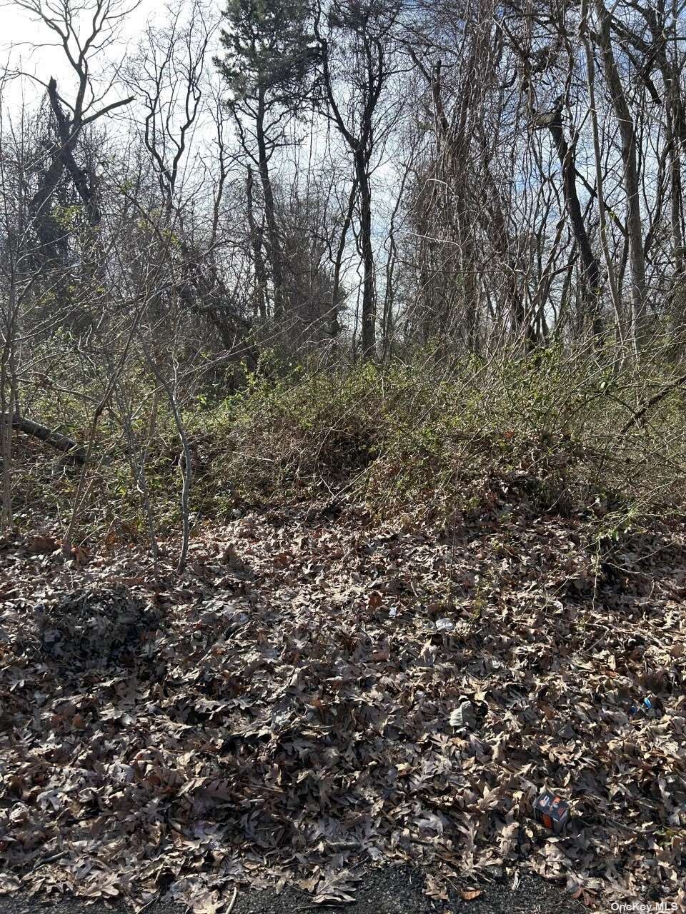 Property Photo: 16 Doe Street NY 11798