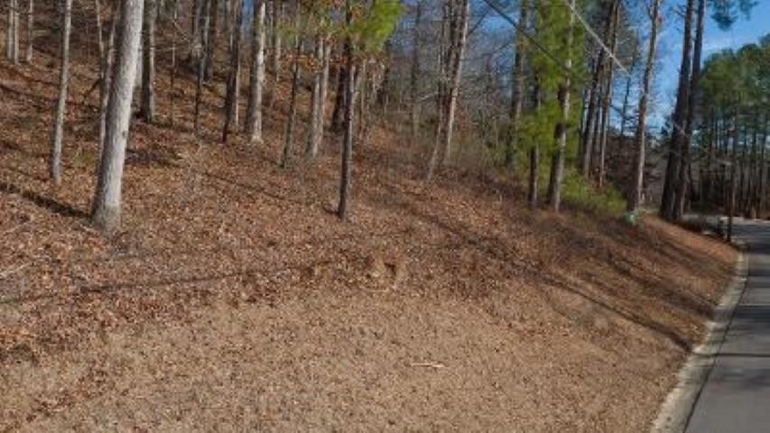 Property Photo:  Lot 36 Seven Bark Dr  AL 35057 - CULLMAN 