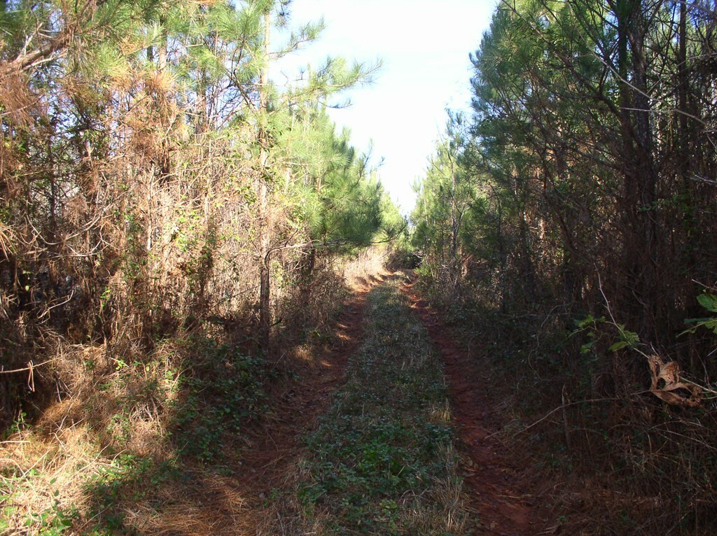 Property Photo:  0 Luna Road  NC 27589 