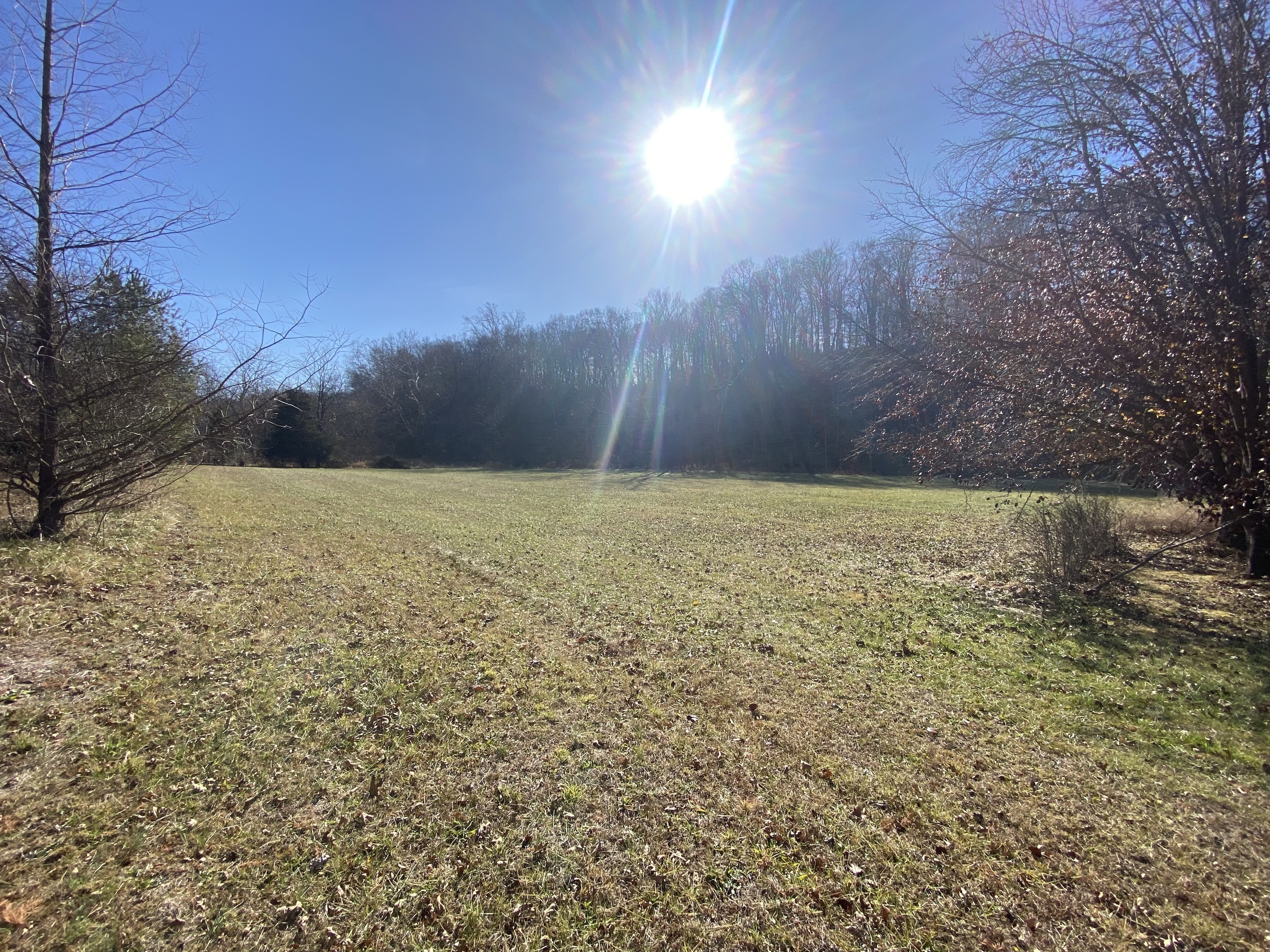 Property Photo: 544 McPike Branch Road IN 47264